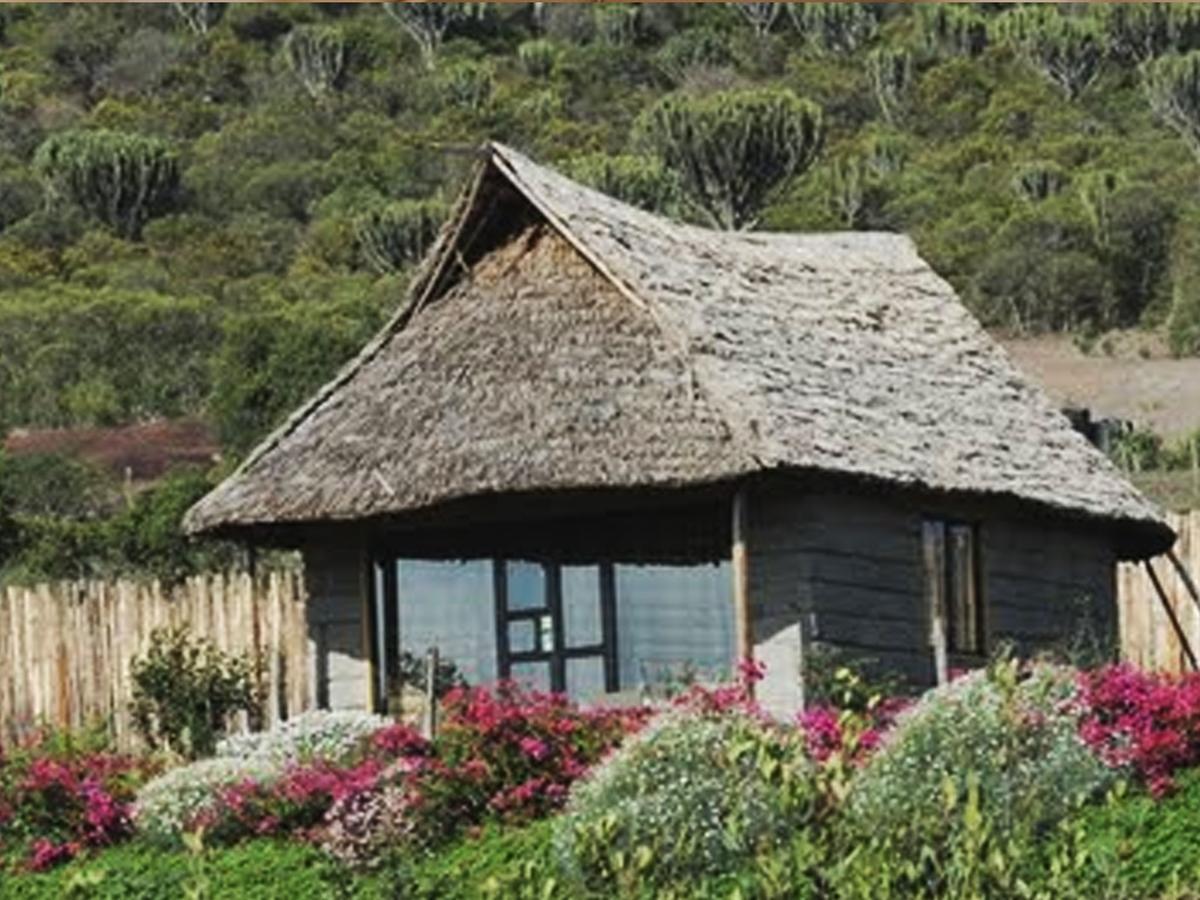 Rhino Watch Safarilodge Mweiga Room photo